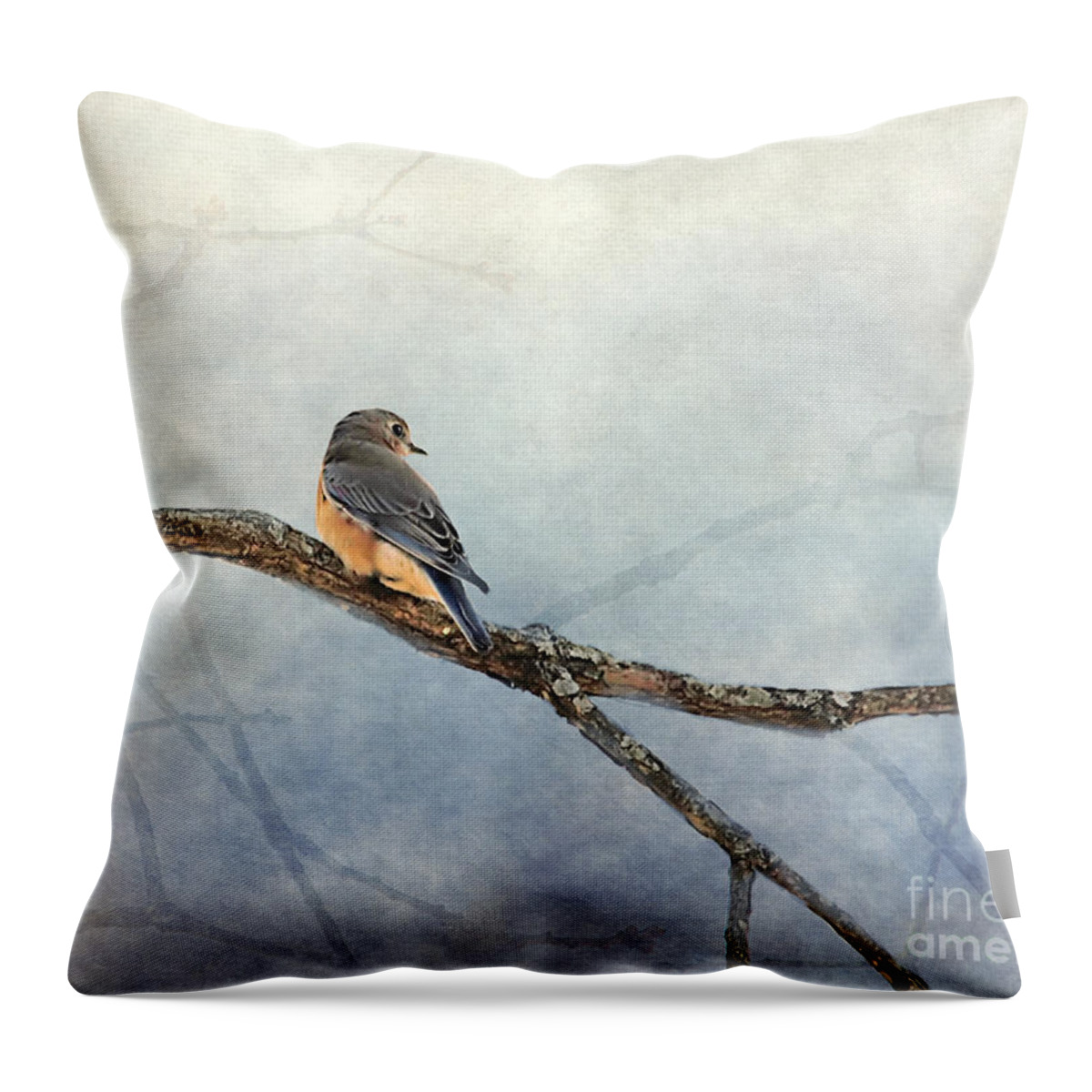 Bird Throw Pillow featuring the photograph Solitude by Jai Johnson