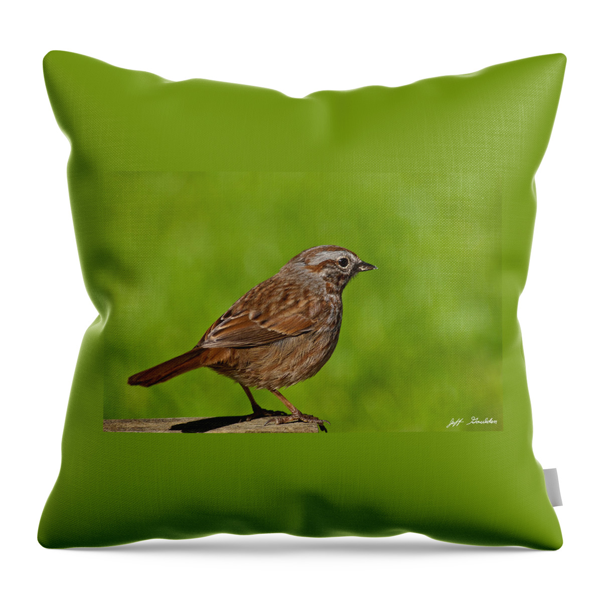 Animal Throw Pillow featuring the photograph Song Sparrow on a Log by Jeff Goulden