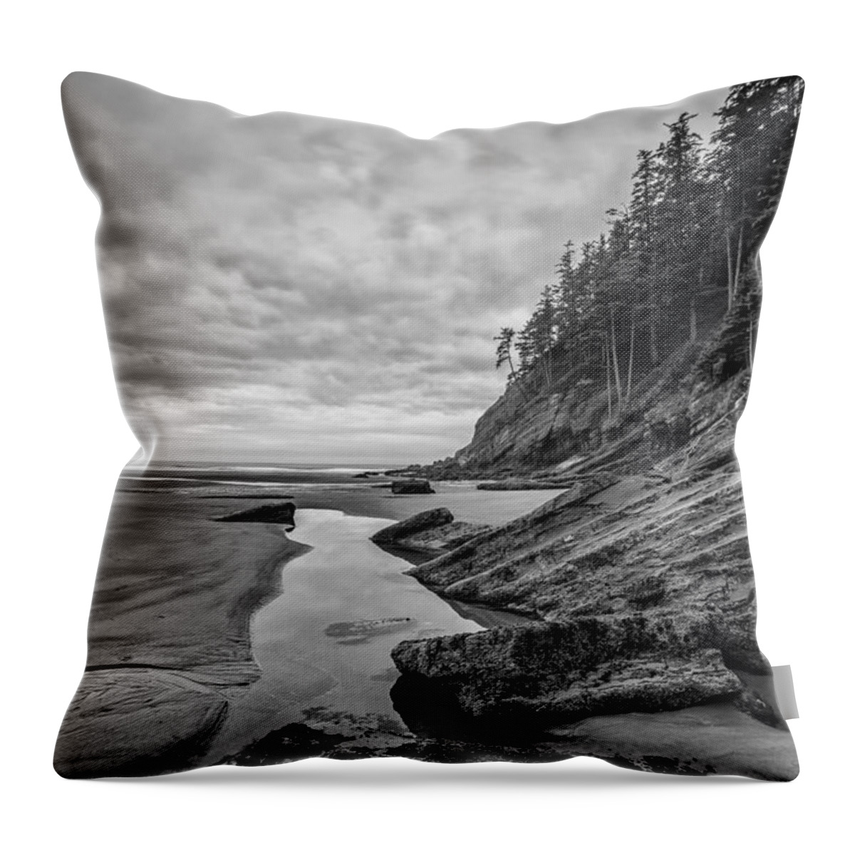 Vertical Throw Pillow featuring the photograph Soul without Color by Jon Glaser