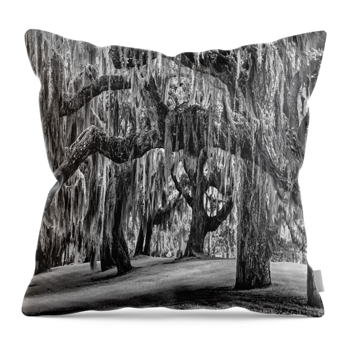 Clouds Throw Pillow featuring the photograph Spanish Moss in Black and White by Debra and Dave Vanderlaan