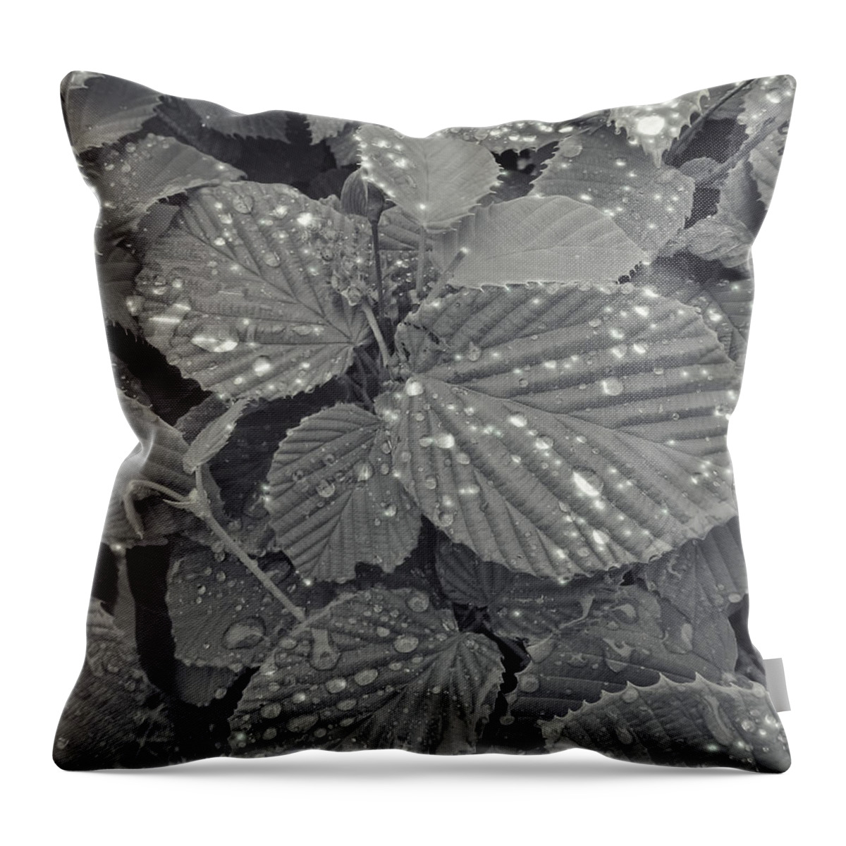 Leaves Throw Pillow featuring the photograph Sparkling Leaves by Cathy Anderson