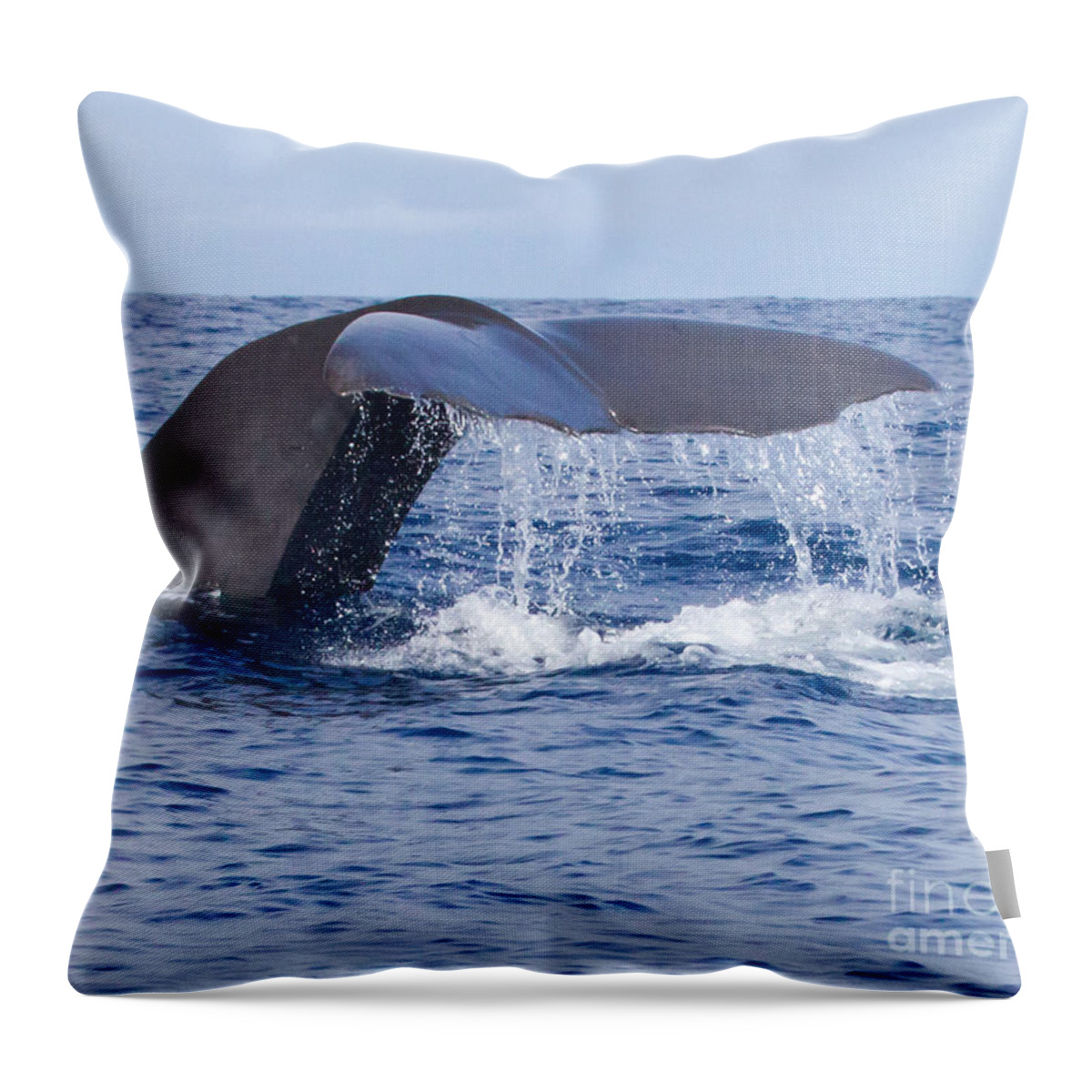 Sperm Whale Throw Pillow featuring the photograph Sperm Whale Tail by Chris Scroggins