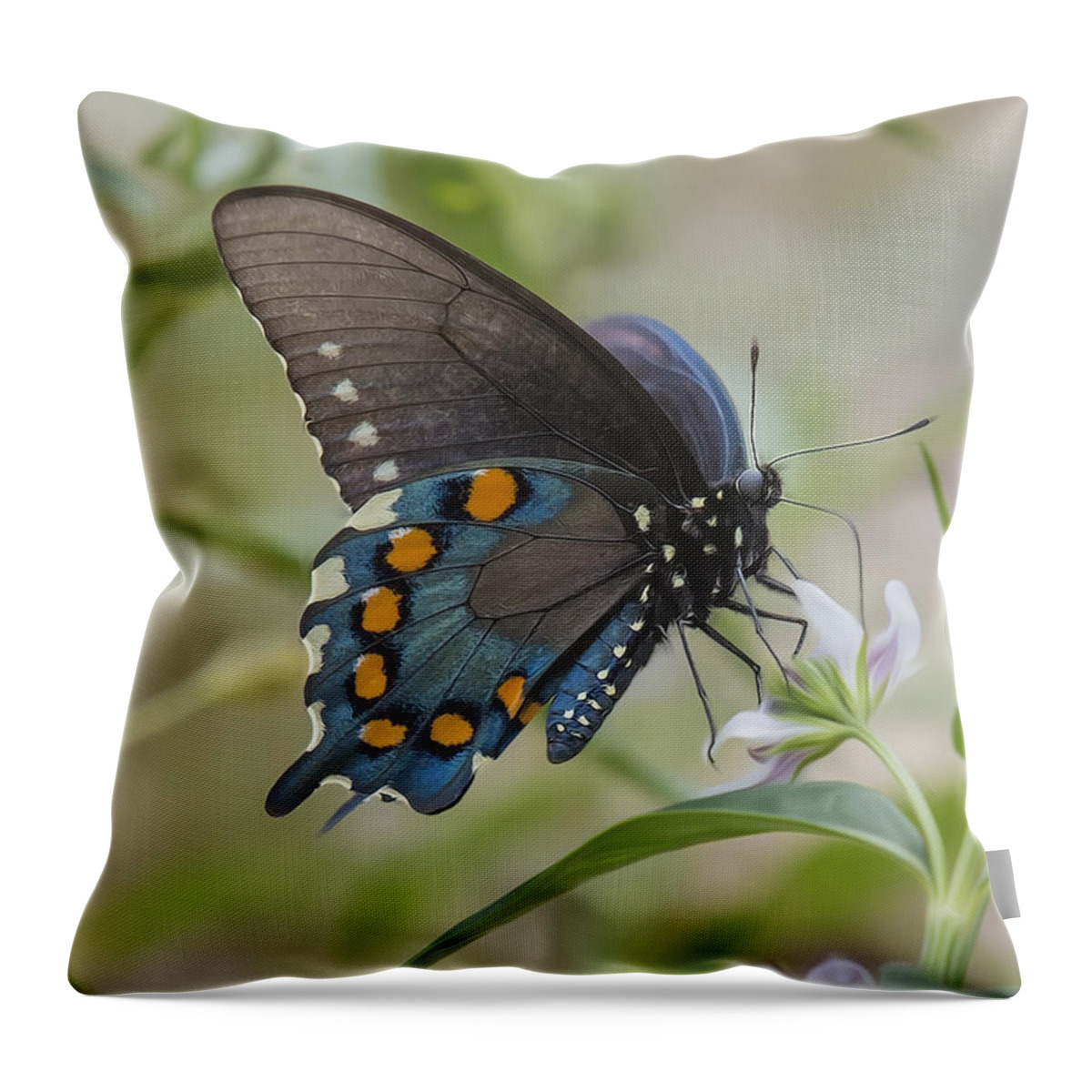 Insect Throw Pillow featuring the photograph Spicebush In Wildflowers by Bill and Linda Tiepelman