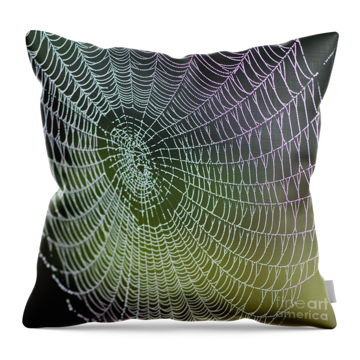 Spiderweb Throw Pillow featuring the photograph Spider Web by Heiko Koehrer-Wagner
