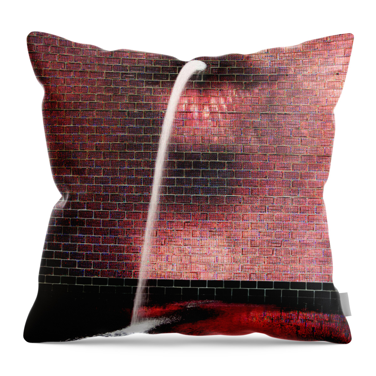Chicago Throw Pillow featuring the photograph Spittin' Image by Patty Colabuono