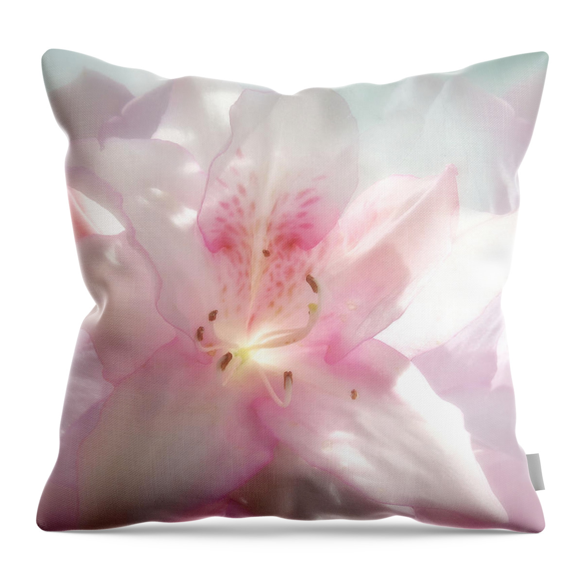 Flower Throw Pillow featuring the photograph Spring Azalea Glow by Deborah Smith