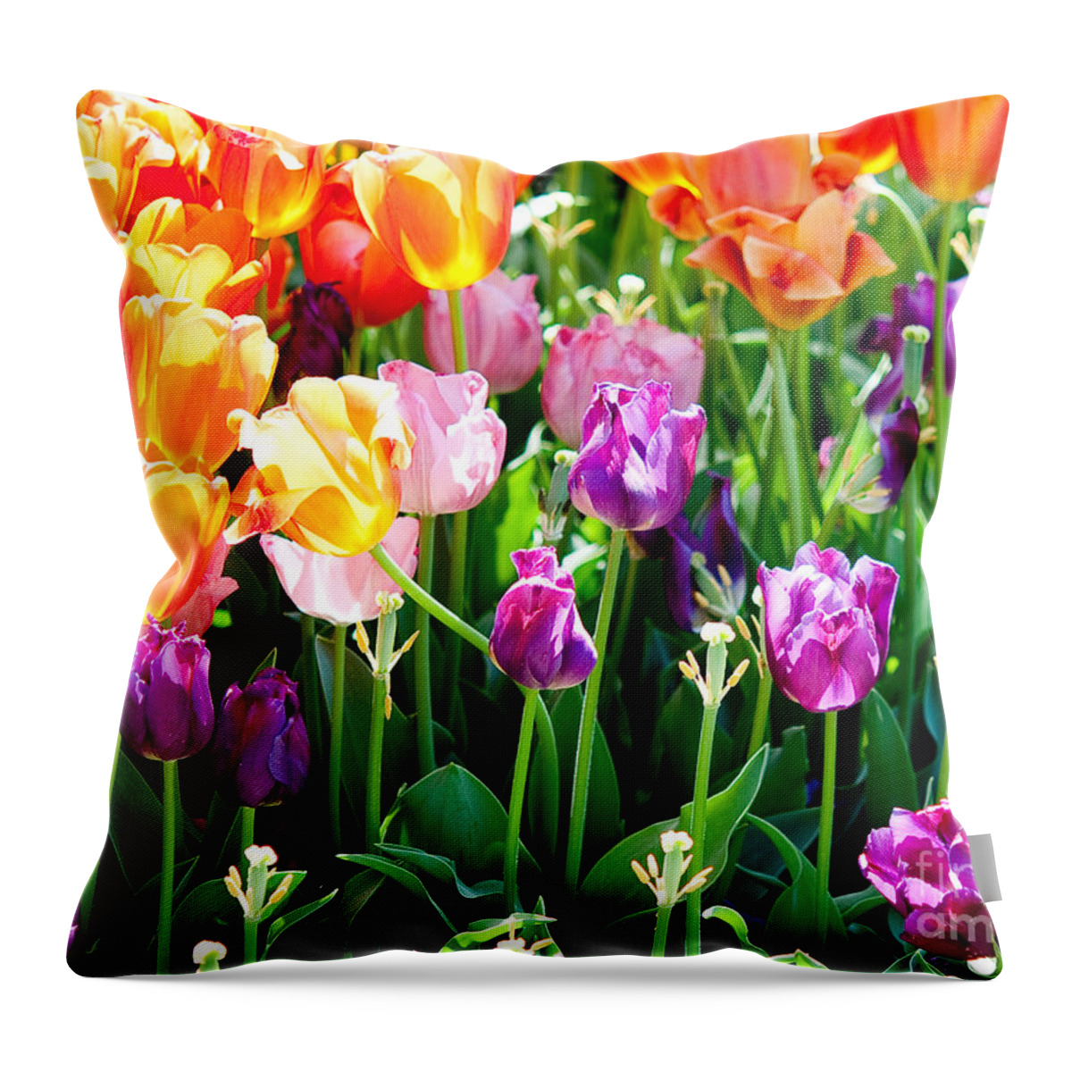 Tulip Throw Pillow featuring the photograph Spring Color by Shijun Munns