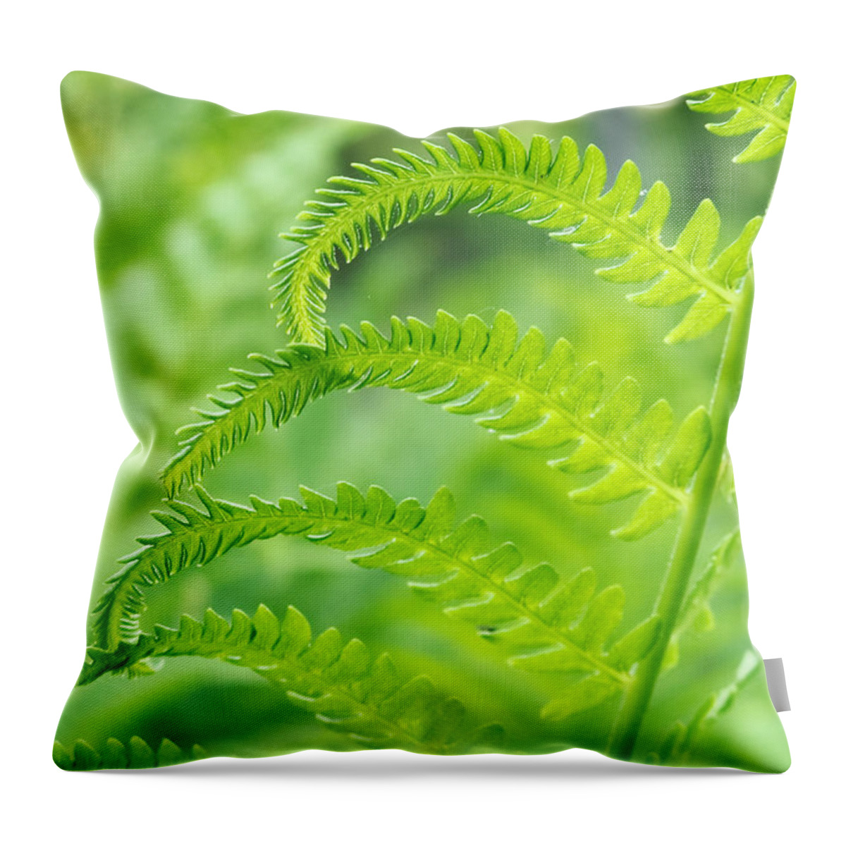 Flowers & Plants Throw Pillow featuring the photograph Spring Fern by Lars Lentz