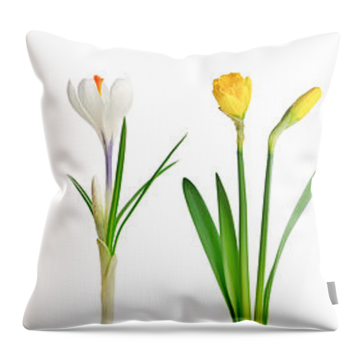 Flowers Throw Pillow featuring the photograph Spring flowers 1 by Elena Elisseeva