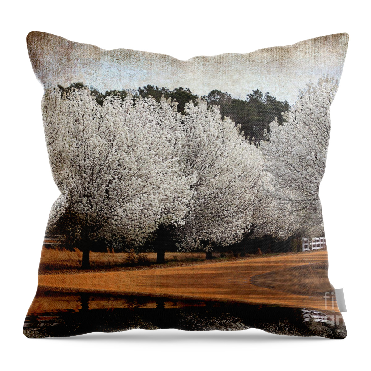 Flowers Throw Pillow featuring the photograph Spring Pear Blossoms by Kathy Baccari