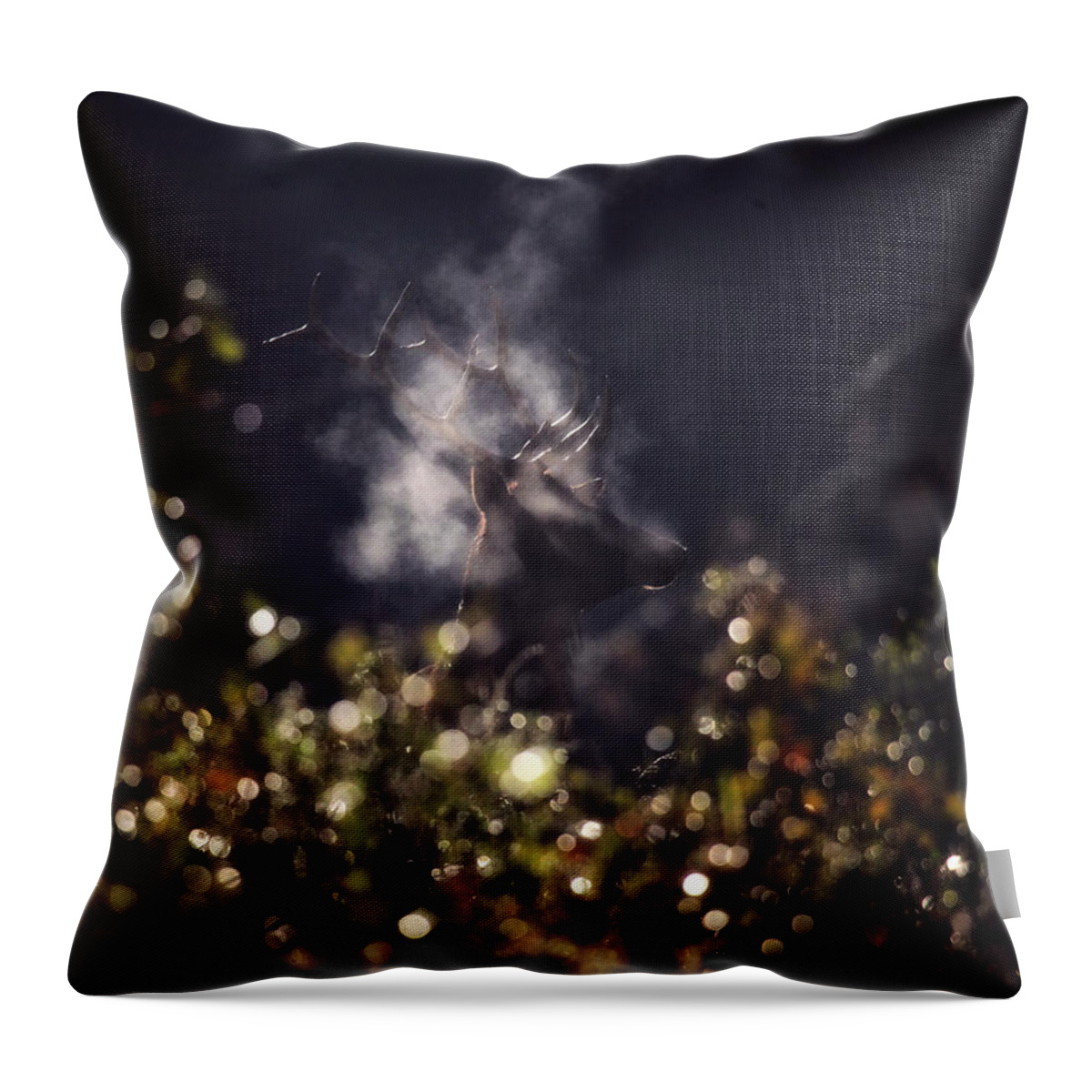 Bull Elk Throw Pillow featuring the photograph Steaming Bull Elk with Iris Flare by Michael Dougherty