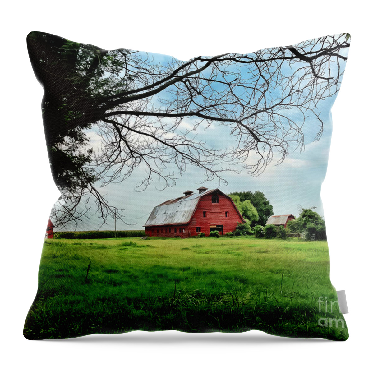 Red Barn Throw Pillow featuring the photograph Stovall Farms in the Mississippi Delta by T Lowry Wilson