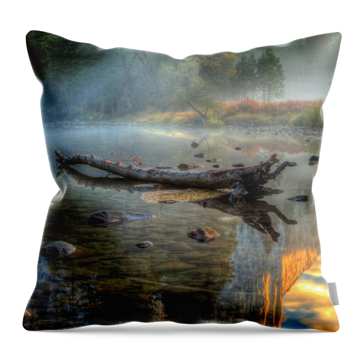 Landscape Throw Pillow featuring the photograph Stranded by Jonathan Nguyen