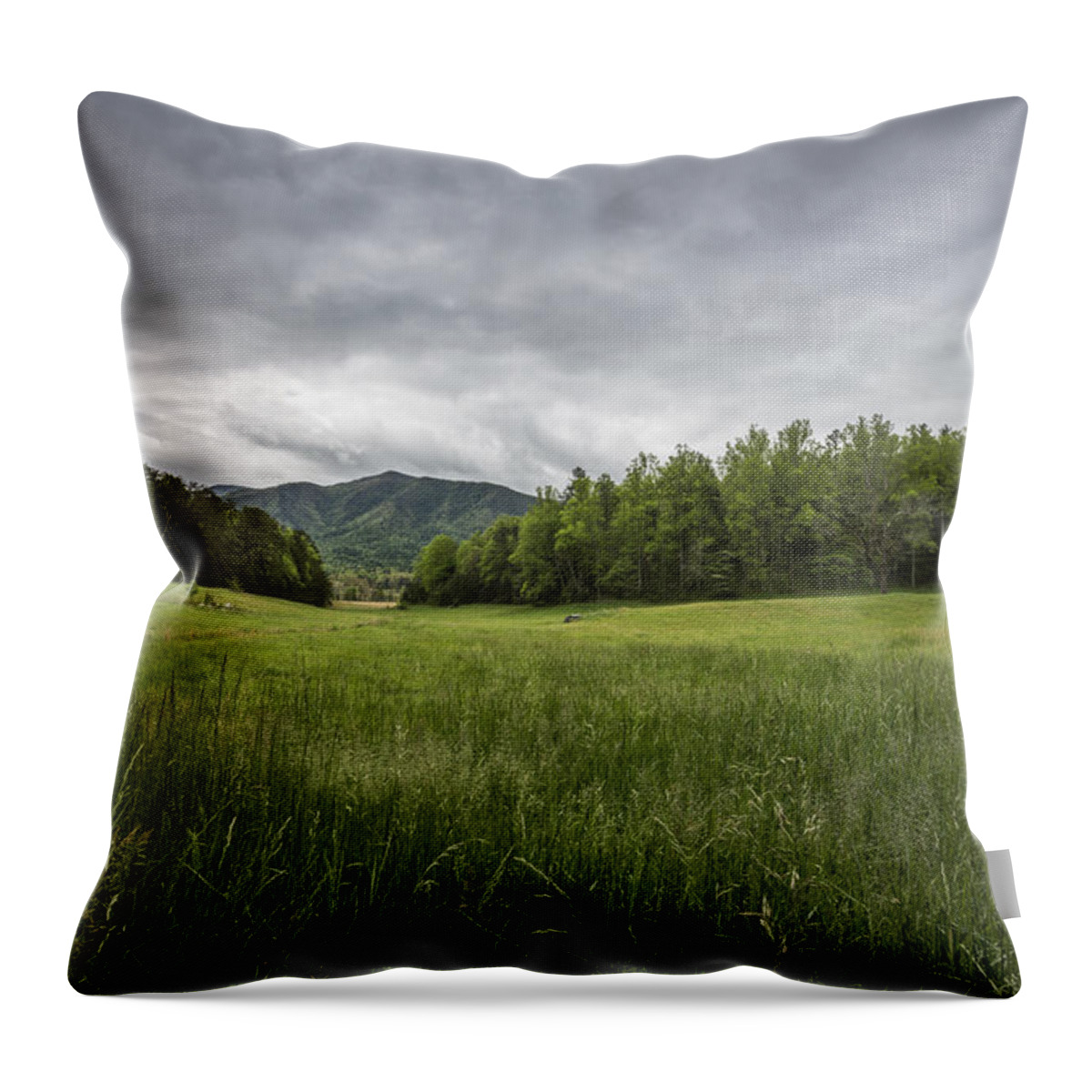 Green Throw Pillow featuring the photograph Stuck in the Field by Jon Glaser