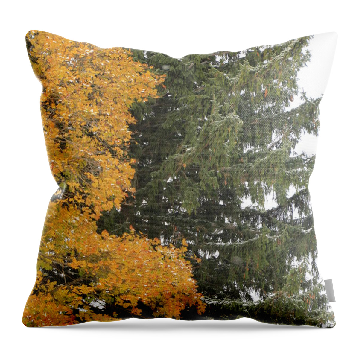 Christmas Tree Throw Pillow featuring the photograph Sugar Maple and Evergreen by Valerie Collins