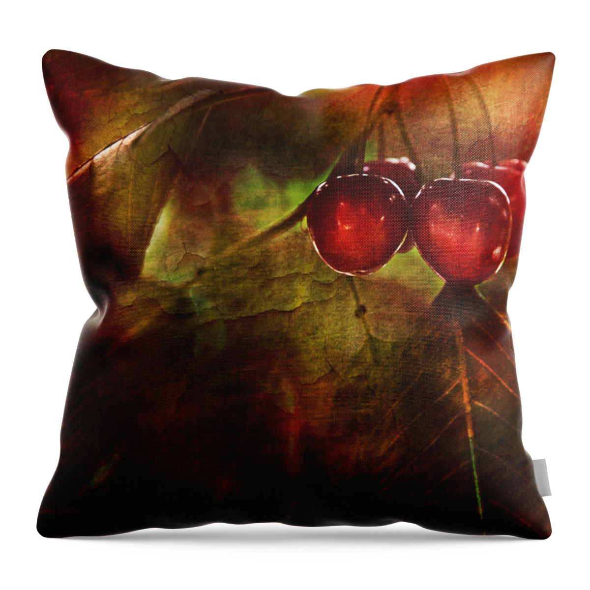 Kitchen Throw Pillow featuring the photograph Summer Cherries 2 by Theresa Tahara