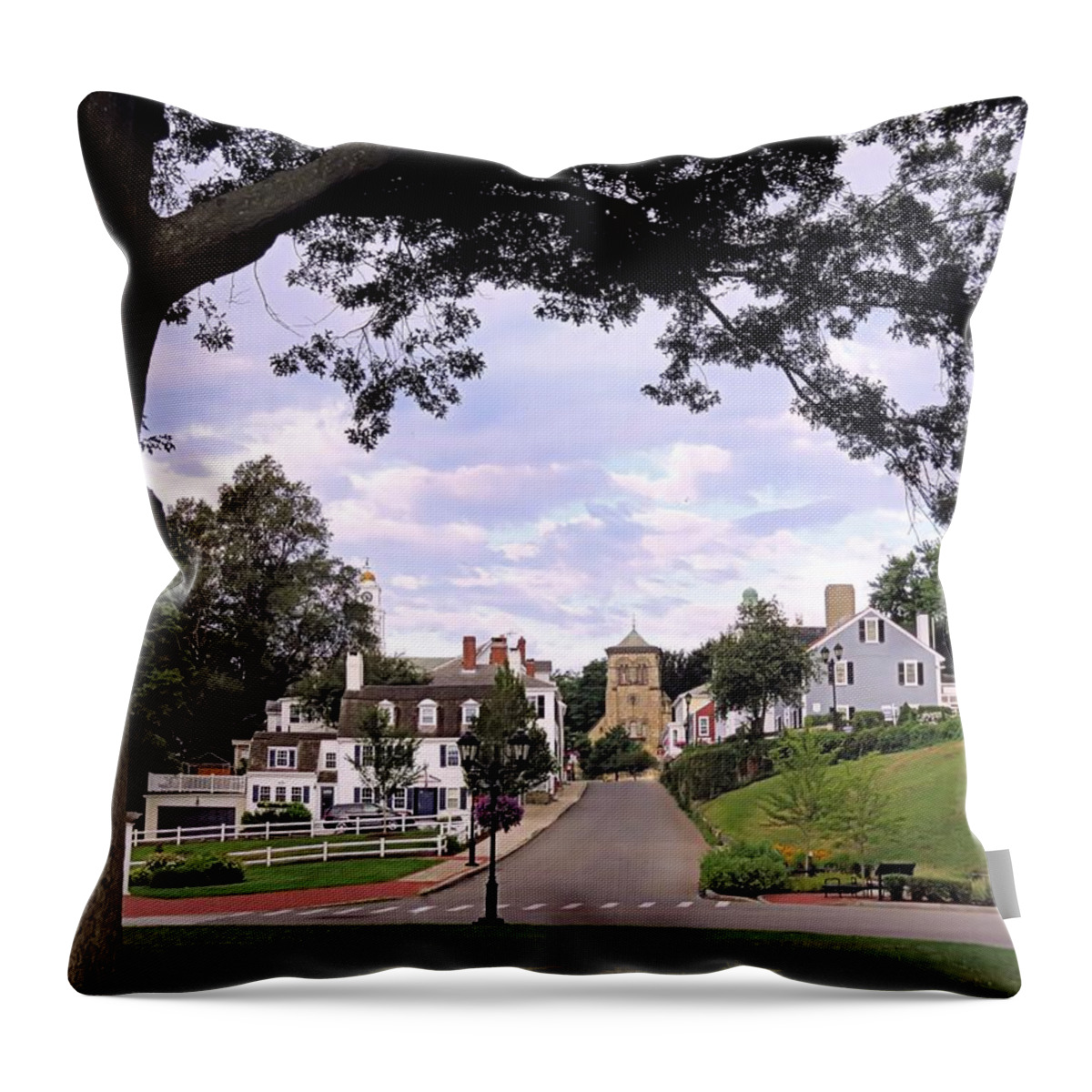 Leyden Street Throw Pillow featuring the photograph Summer on Leyden Street by Janice Drew