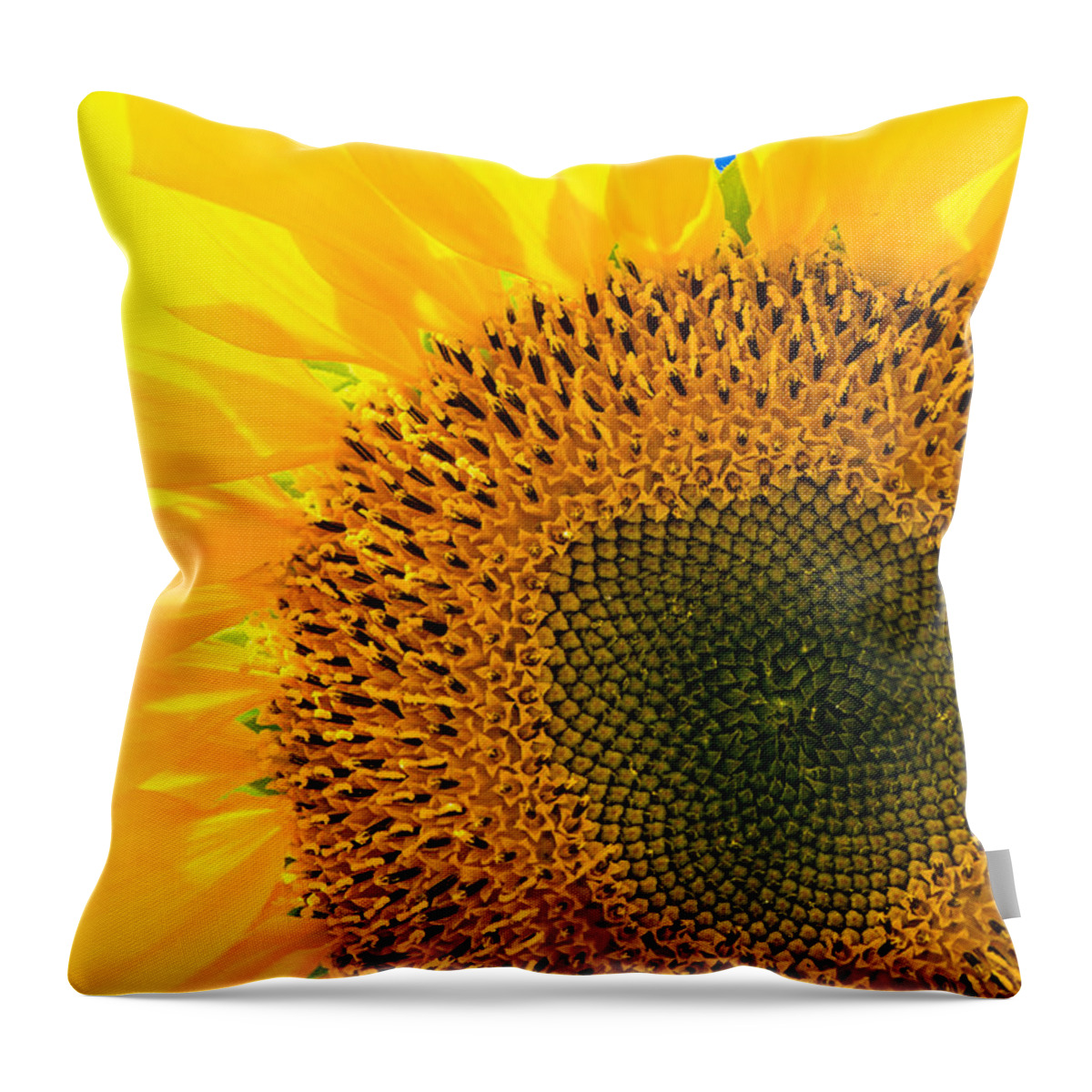 Sunflower Throw Pillow featuring the photograph Sunflower by Andreas Berthold