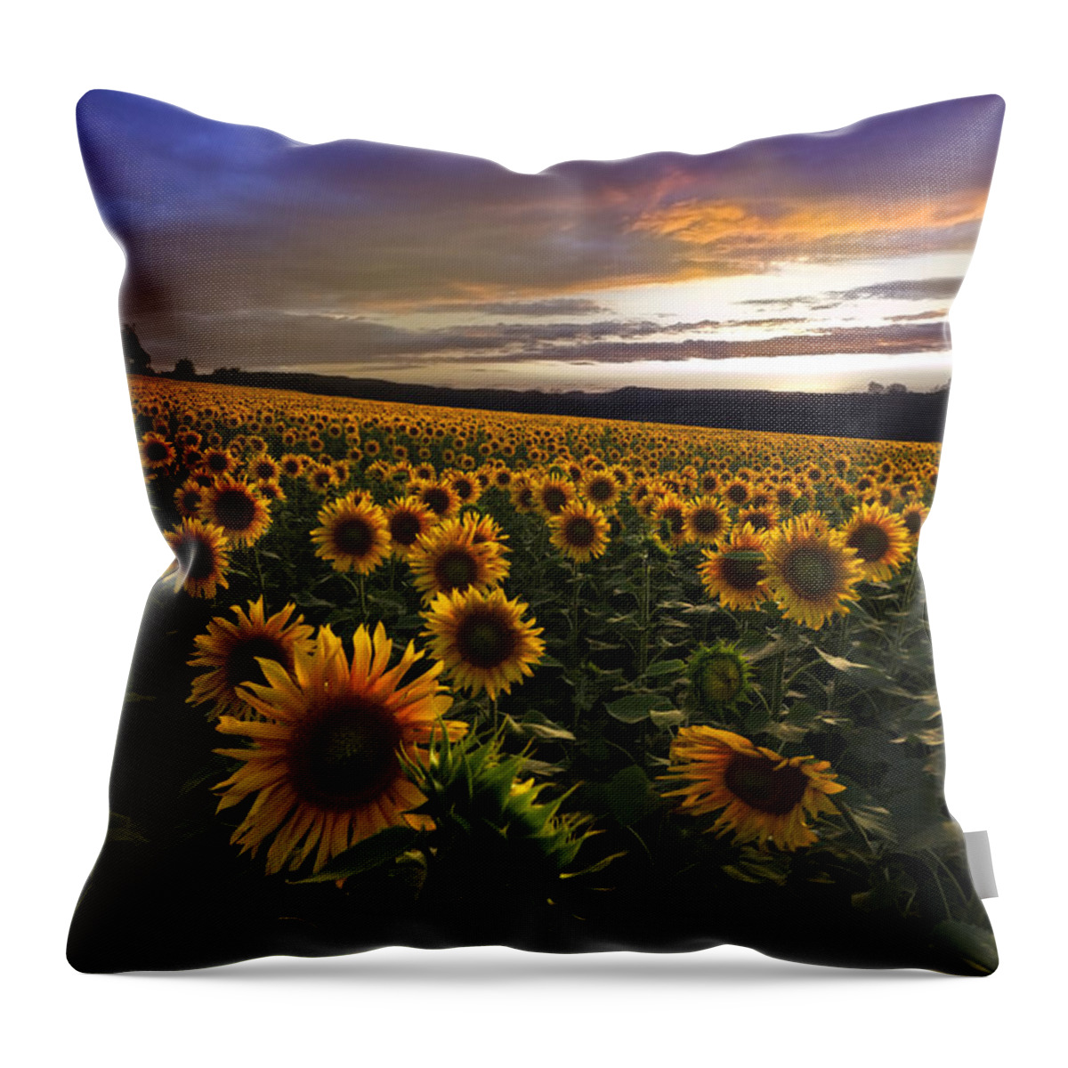 Austria Throw Pillow featuring the photograph Sunflower Sunset by Debra and Dave Vanderlaan