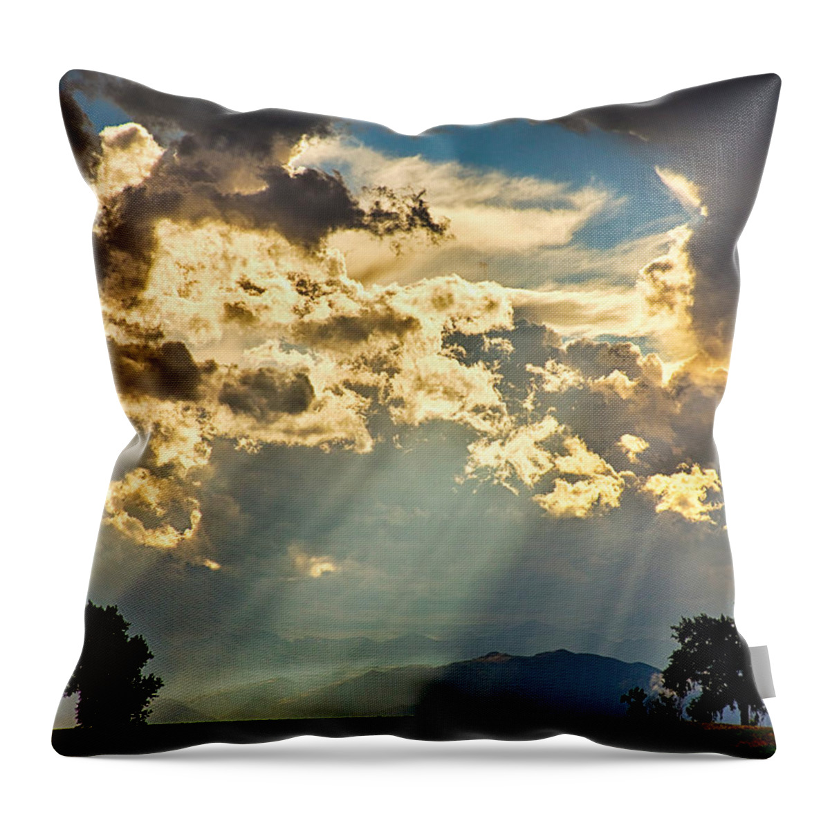 Forest Throw Pillow featuring the photograph Sunlight Raining Down From the Heavens by James BO Insogna