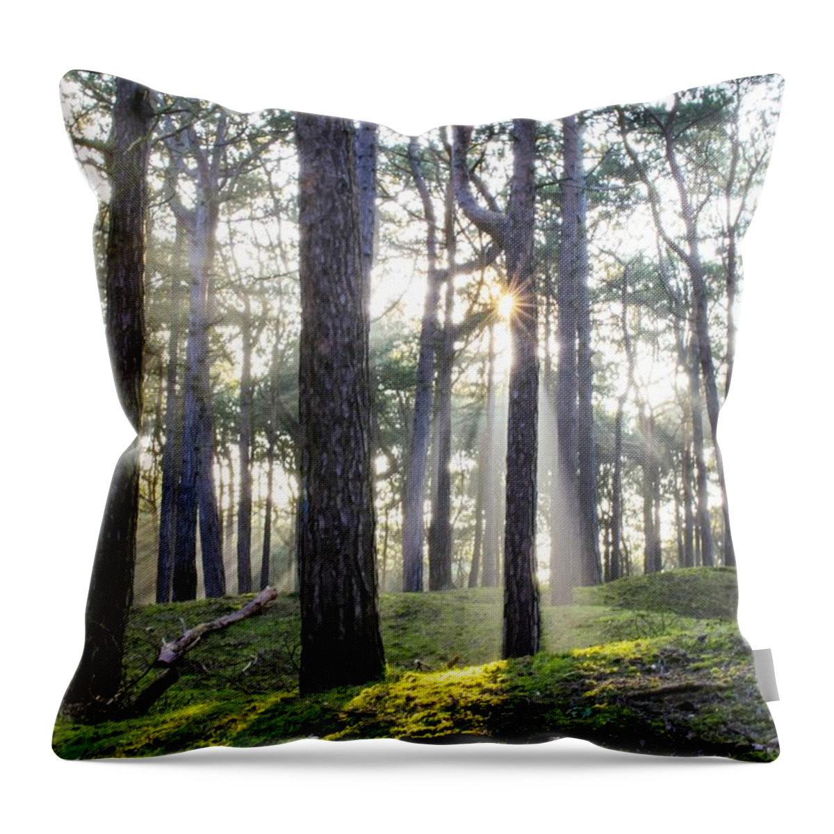 Trees Throw Pillow featuring the photograph Sunlit Trees by Spikey Mouse Photography