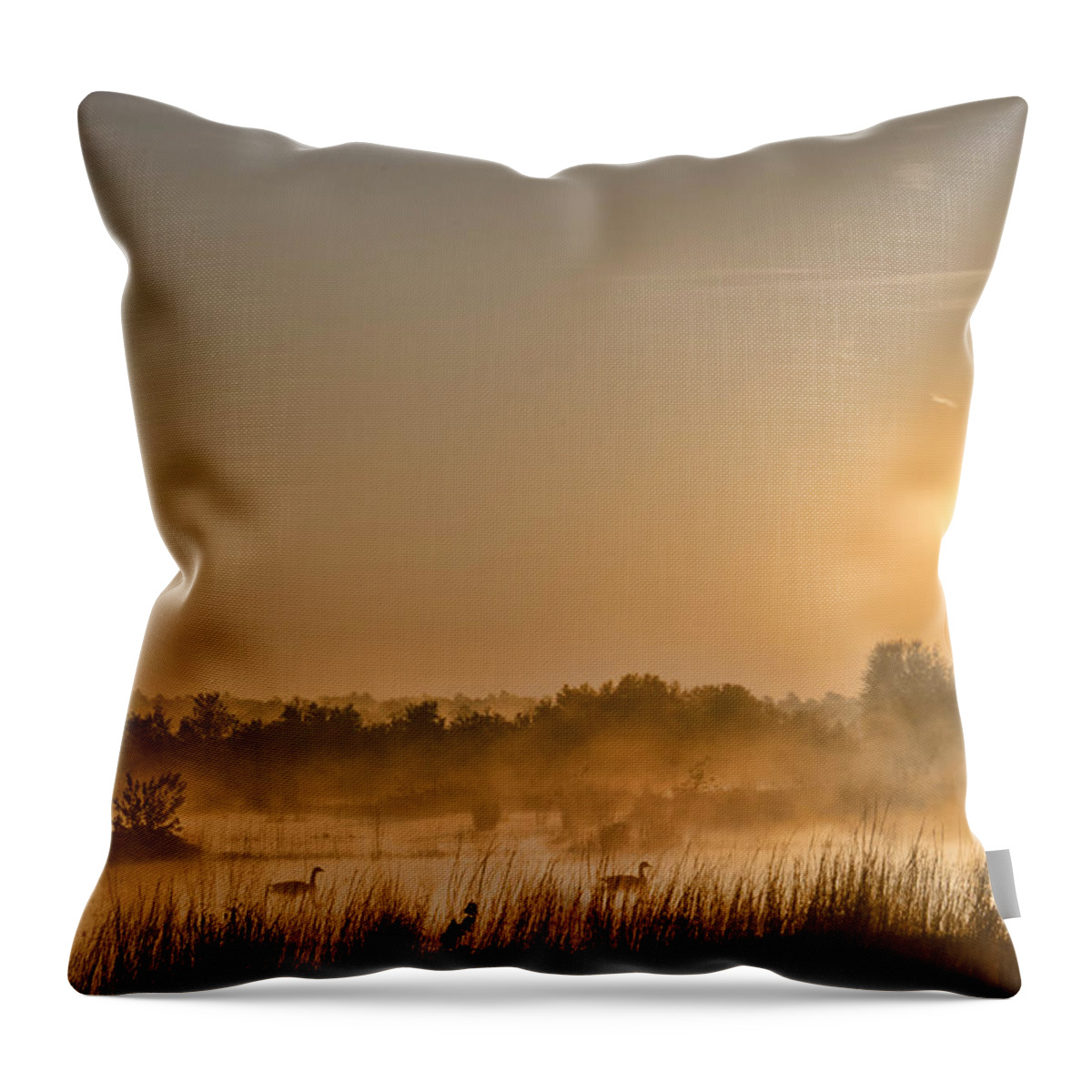 Sunrise Throw Pillow featuring the photograph Sunrise With The Geese by Beth Sawickie