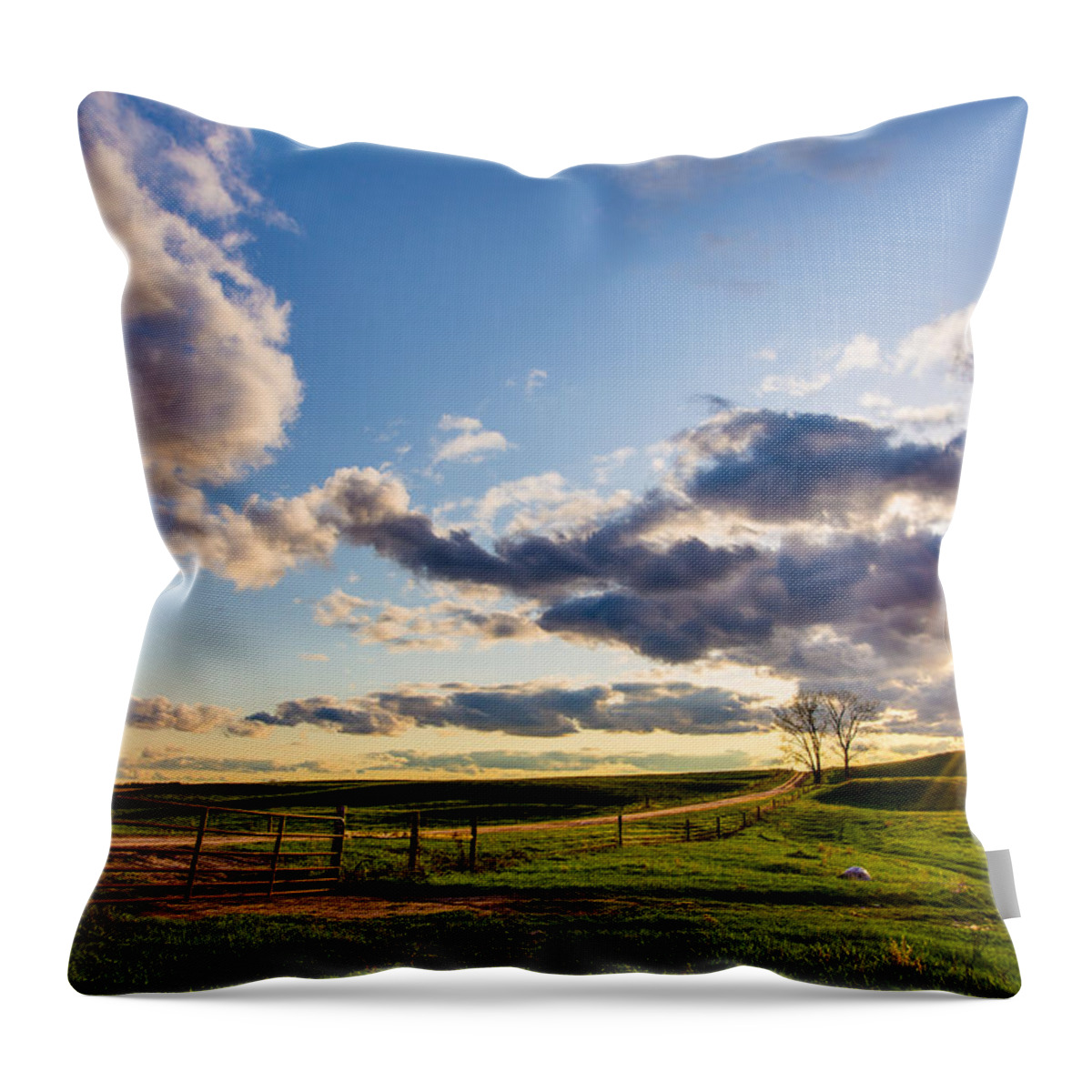 Sunset Sonata Throw Pillow featuring the photograph Sunset Sonata by Adam Mateo Fierro