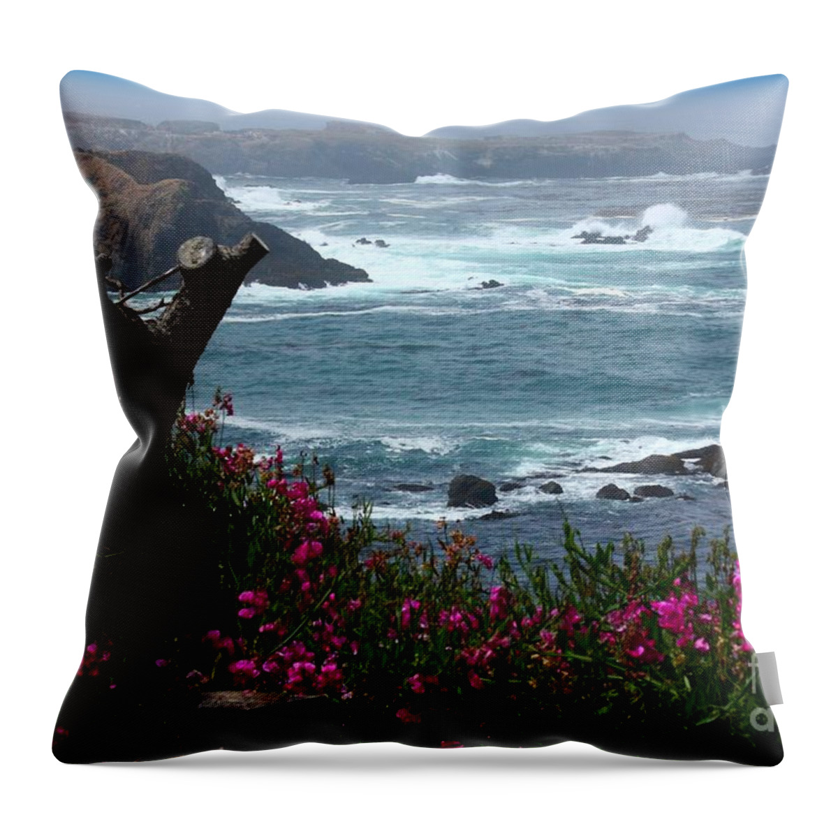Surf And Turf Throw Pillow featuring the photograph Surf and Turf by Patrick Witz