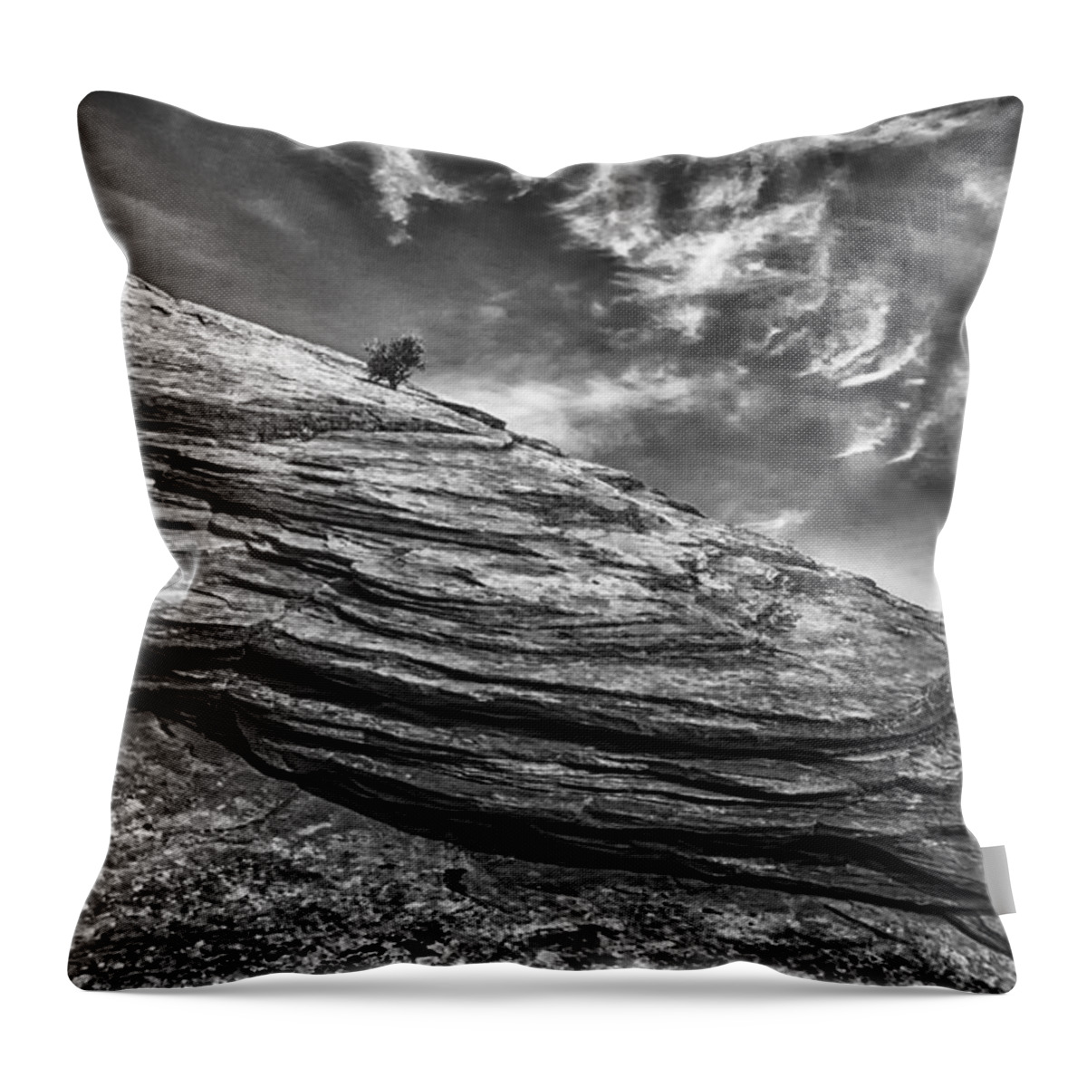  Throw Pillow featuring the photograph Survivor by Ghostwinds Photography