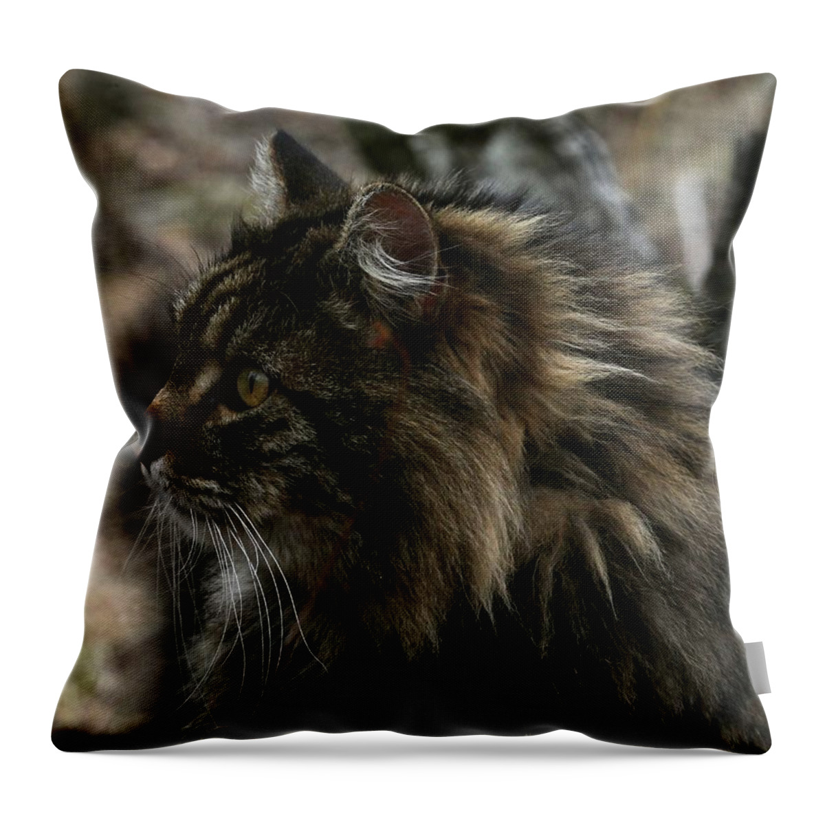 Cat Throw Pillow featuring the photograph Swiffer by Michael Dougherty