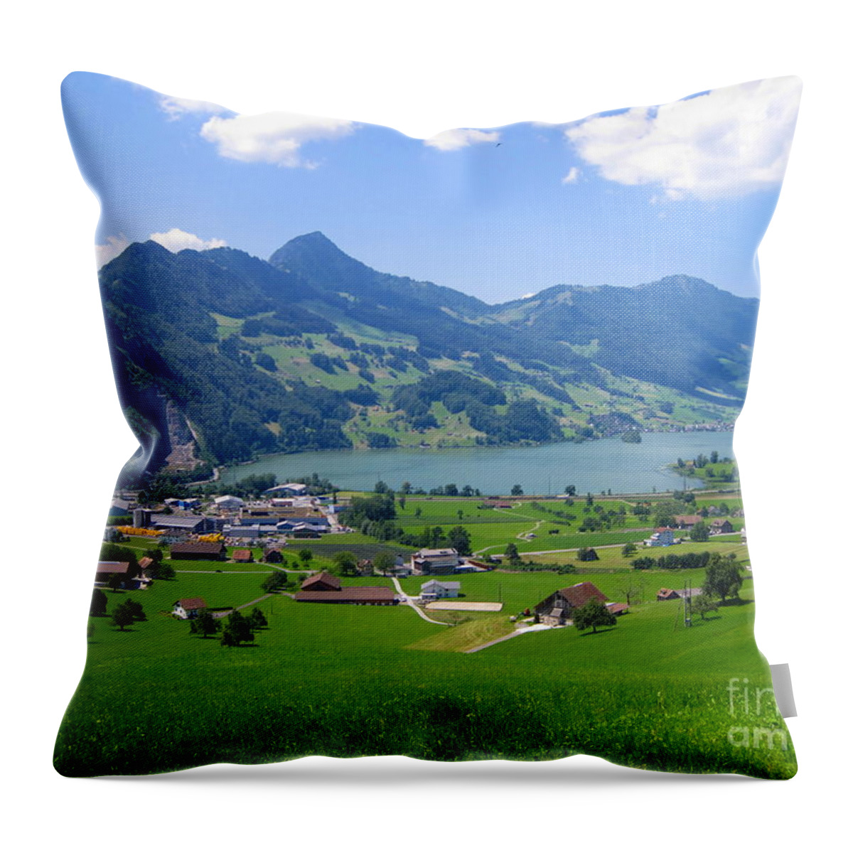 Alps Throw Pillow featuring the photograph Swiss Landscape by Amanda Mohler