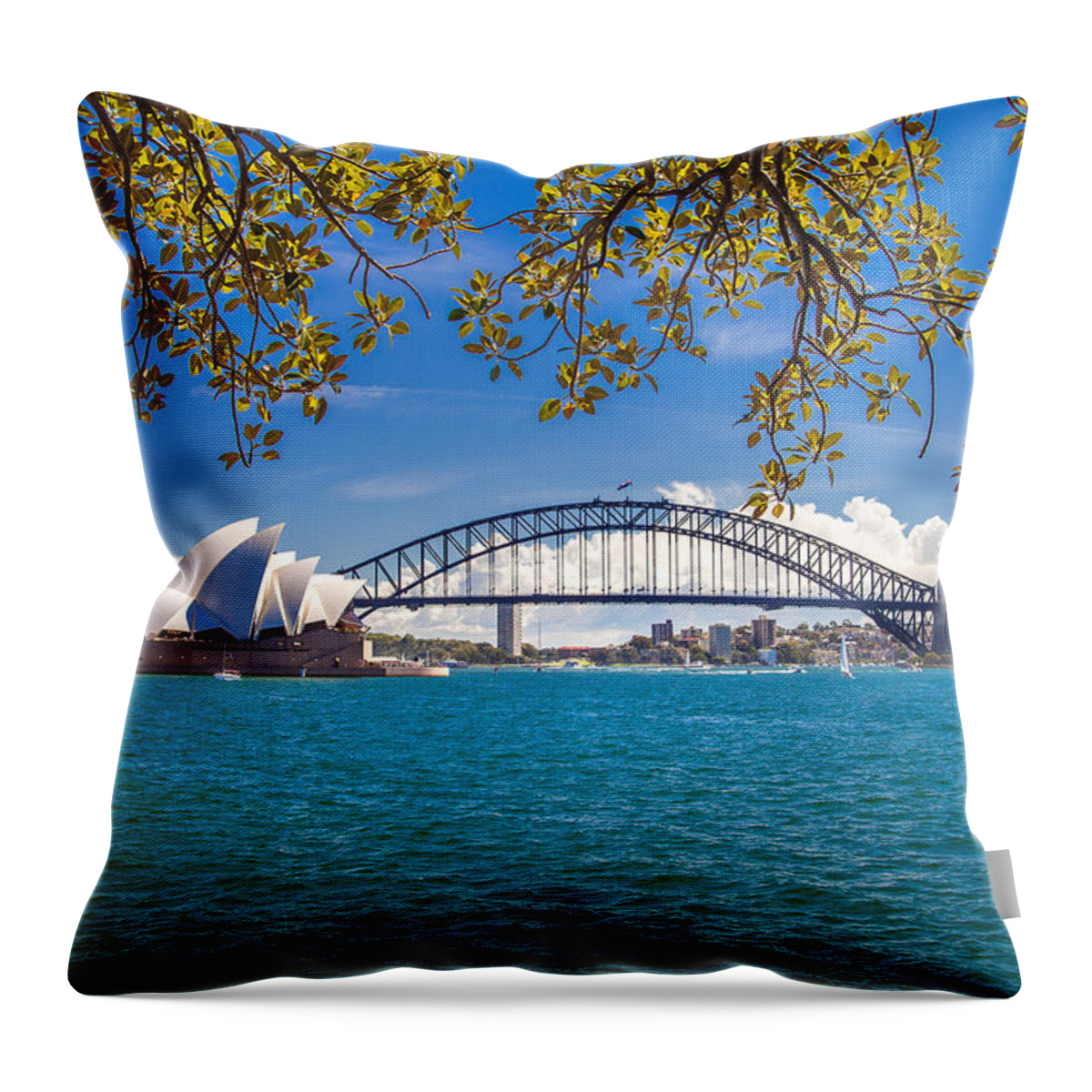 Sydney Throw Pillow featuring the photograph Sydney Harbour Skyline 2 by Az Jackson