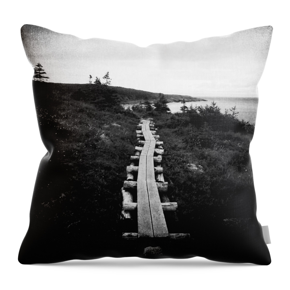 Sea Throw Pillow featuring the photograph Take Me to the Sea - East Coast Trail by Zinvolle Art