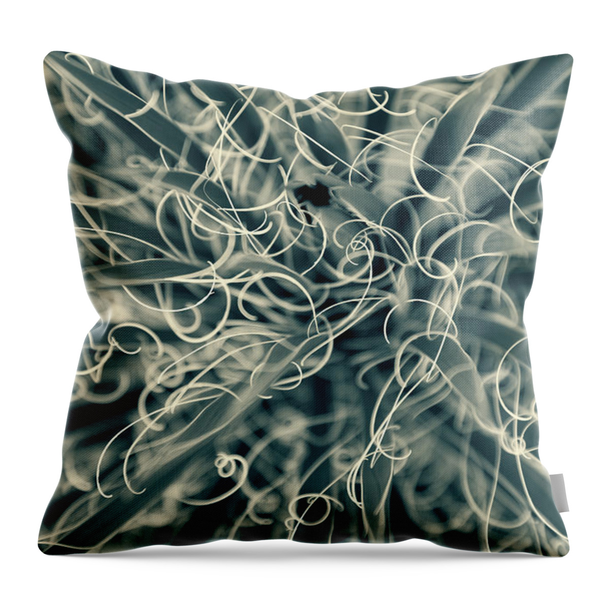 Nature Throw Pillow featuring the photograph Tangled by Jonathan Nguyen