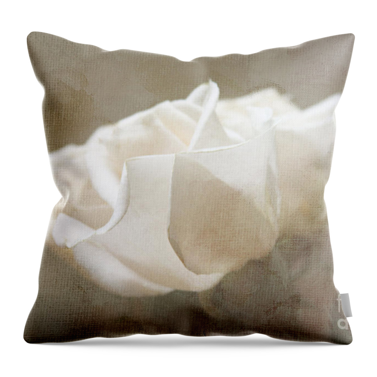 Rose Throw Pillow featuring the digital art Taupe Dreams by Jayne Carney