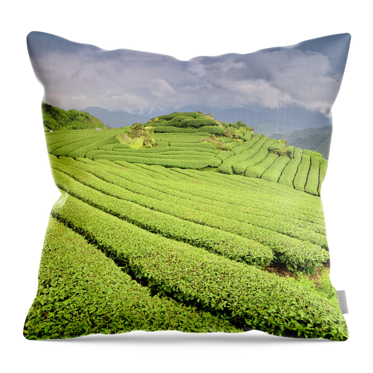 Taiwan Throw Pillow featuring the photograph Tea Plantation by Joyoyo Chen