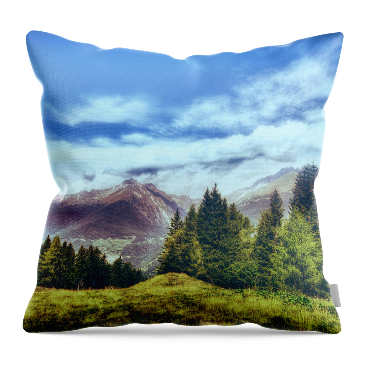 https://render.fineartamerica.com/images/rendered/default/throw-pillow/images-medium-5/temu-landscape-dof-photo-by-fulvio.jpg?&targetx=-107&targety=0&imagewidth=693&imageheight=479&modelwidth=479&modelheight=479&backgroundcolor=71ACEC&orientation=0&producttype=throwpillow-14-14