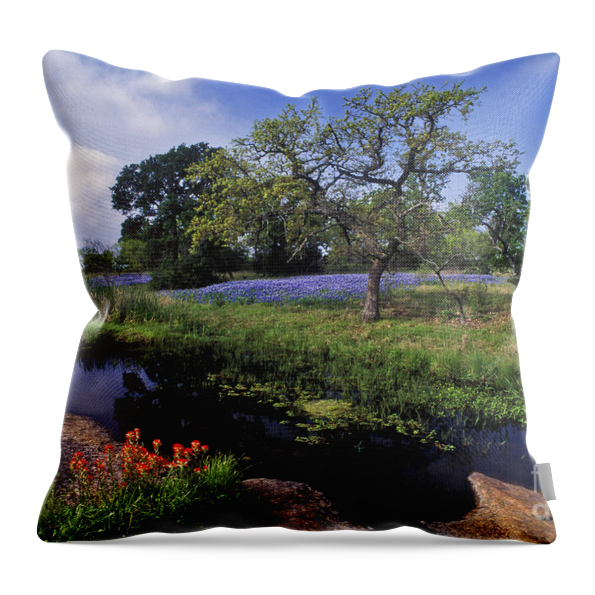 Texas Throw Pillow featuring the photograph Texas Hill Country - FS000056 by Daniel Dempster