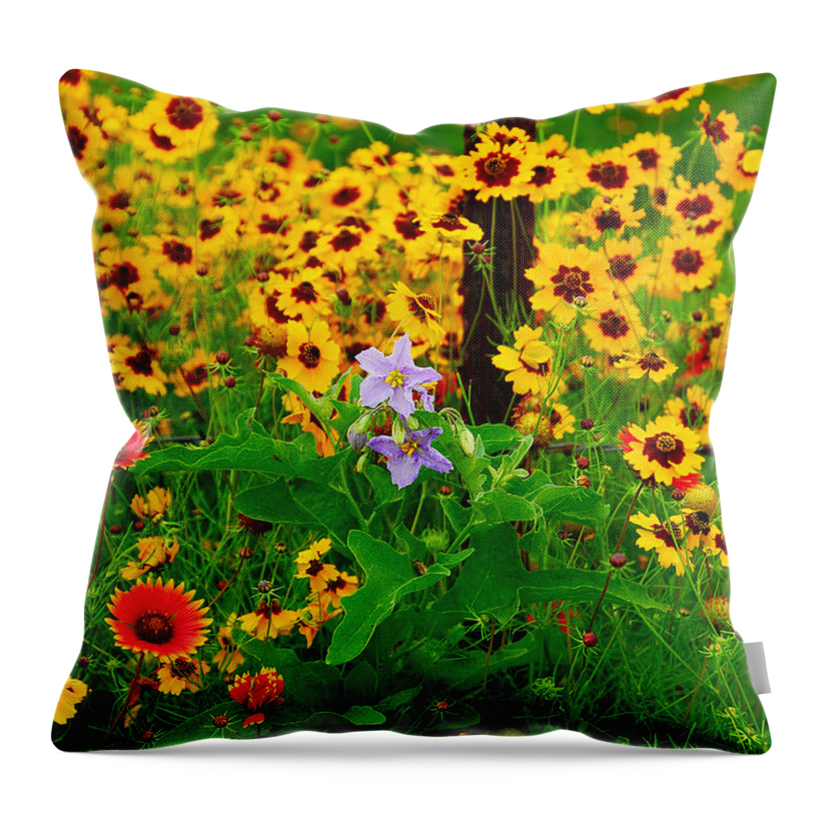 Wildflower Throw Pillow featuring the photograph Texas Spring Delight by Lynn Bauer