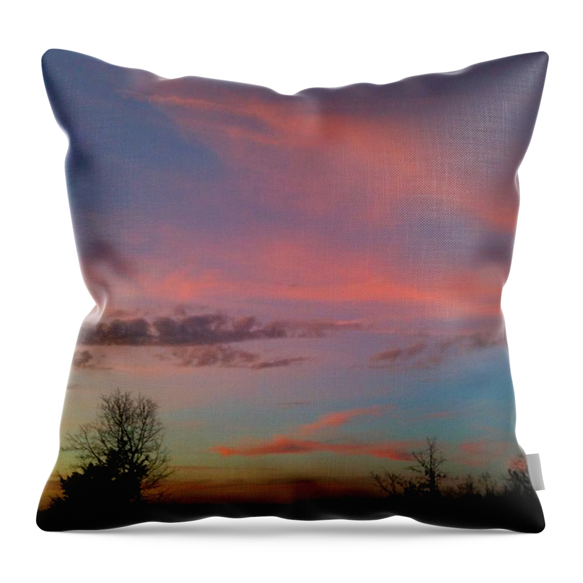 Durham Throw Pillow featuring the photograph Thankful for the Day by Linda Bailey