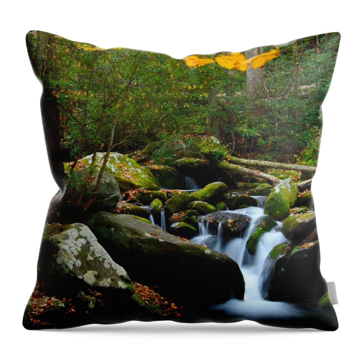 Art Prints Throw Pillow featuring the photograph The Colors of Autumn by Nunweiler Photography
