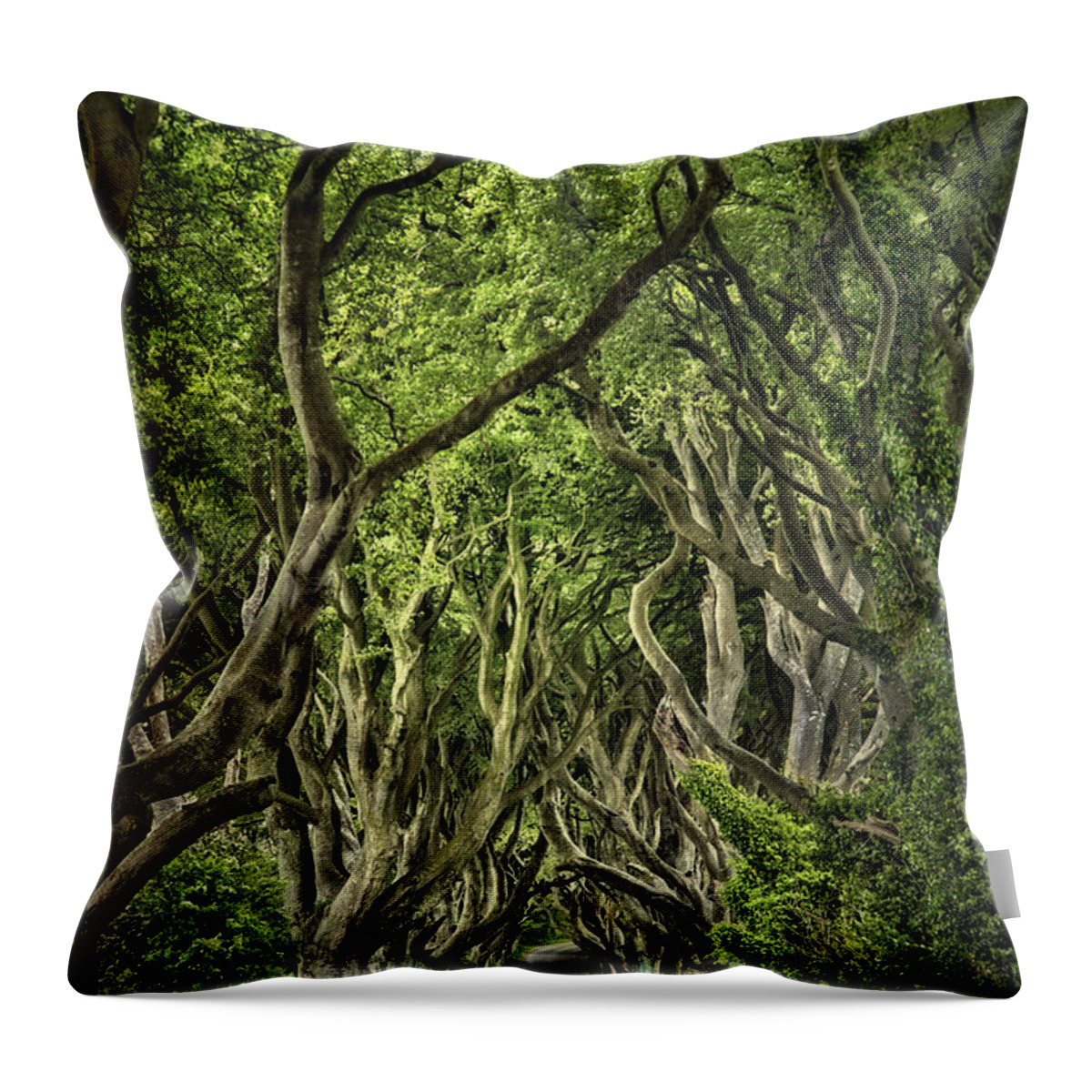 Dark Hedges Throw Pillow featuring the photograph The Dark Hedges by Evelina Kremsdorf
