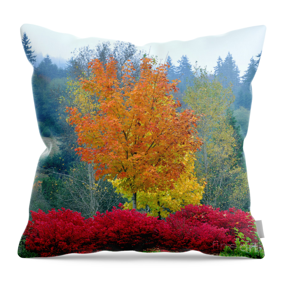 Autumn Throw Pillow featuring the photograph The Flame by Kirt Tisdale