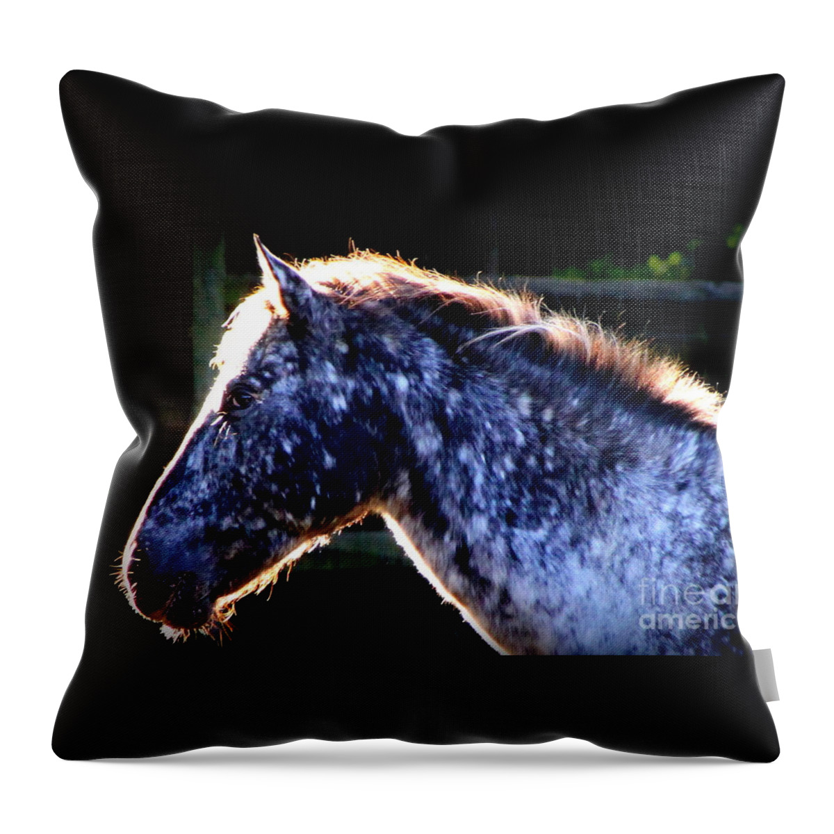Horse Throw Pillow featuring the photograph The Galaxy by Rabiah Seminole