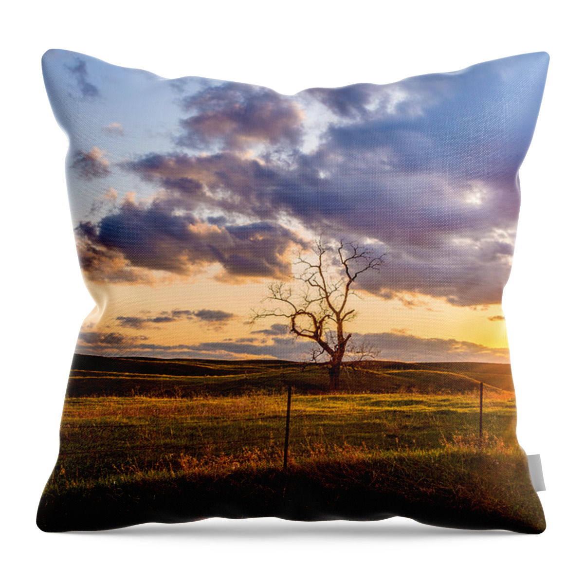 Sunset Sonata Throw Pillow featuring the photograph The Golden Hour by Adam Mateo Fierro