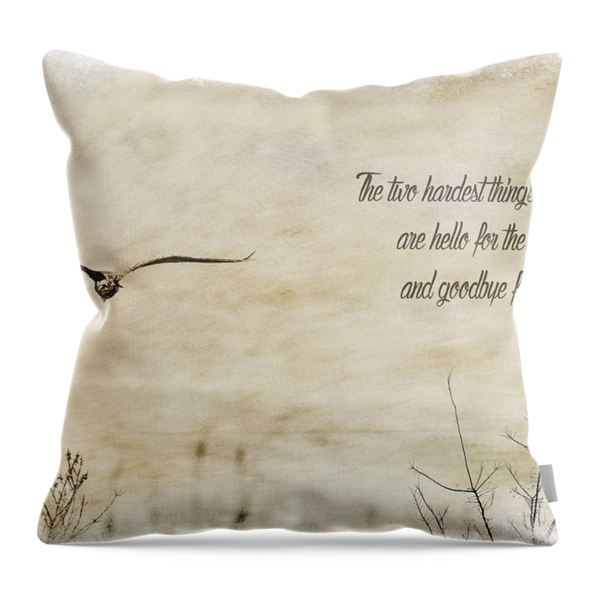 Text Throw Pillow featuring the photograph The Hardest Things by Cathy Kovarik