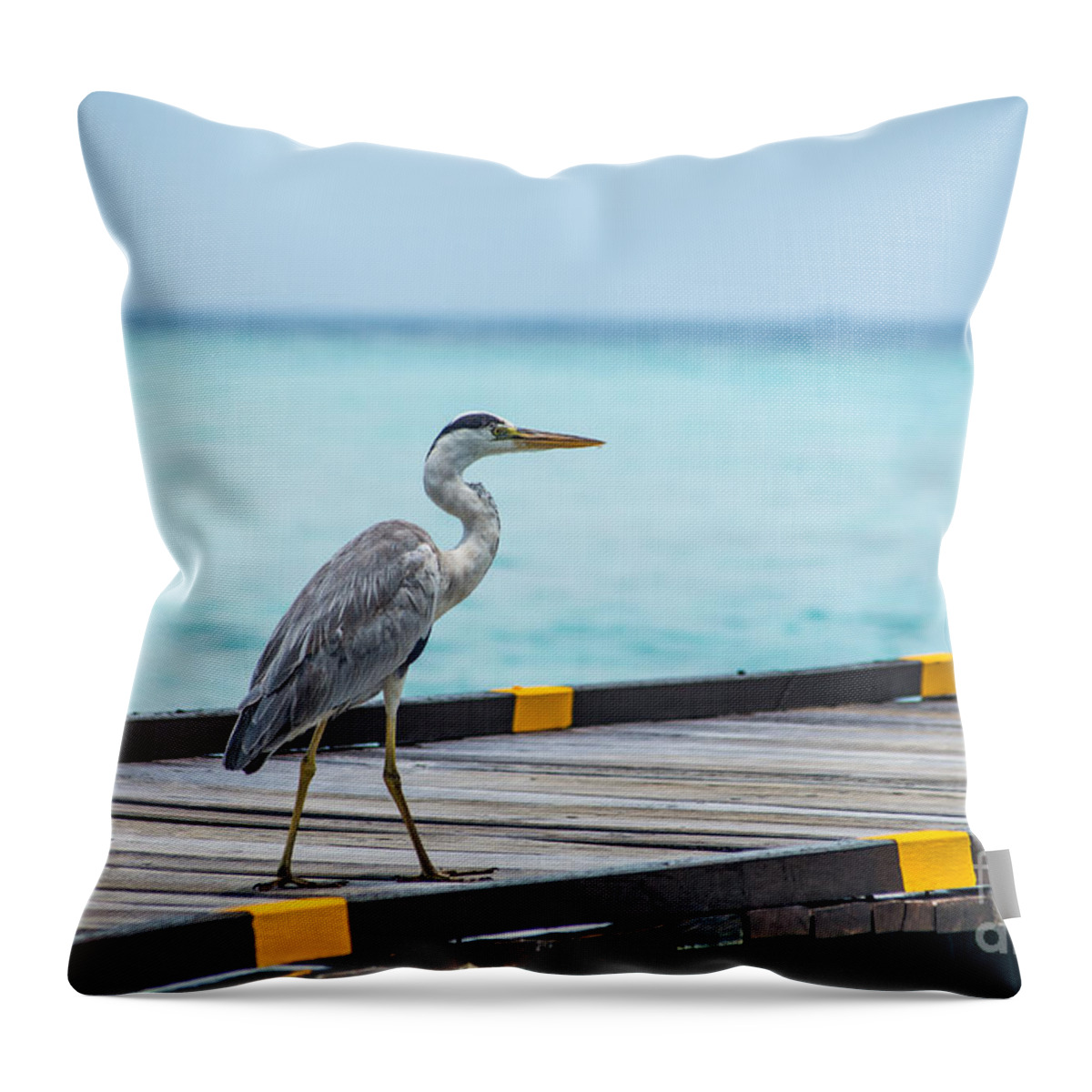 Animal Throw Pillow featuring the photograph The Hereon by Hannes Cmarits