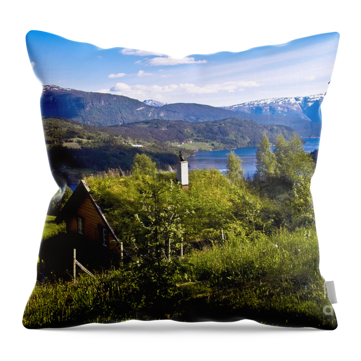 Europe Throw Pillow featuring the photograph The house becomes a Landscape by Heiko Koehrer-Wagner