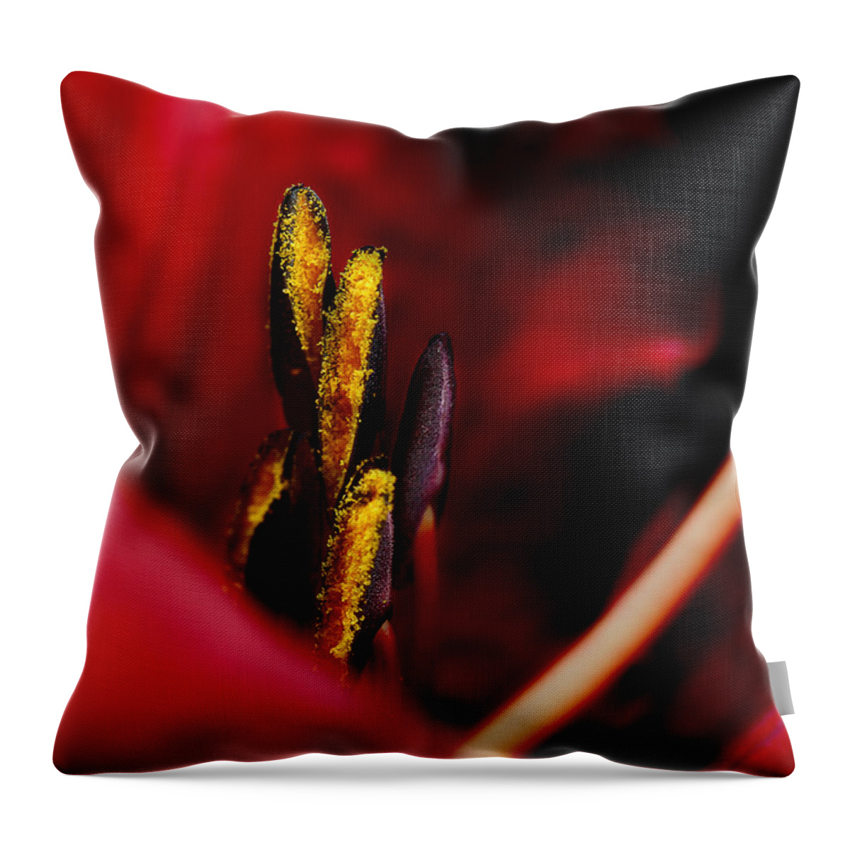 Scarlet Colored Lily Throw Pillow featuring the photograph The Insiders by Michael Eingle