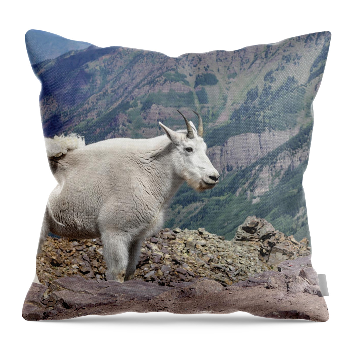 Mountain Throw Pillow featuring the photograph The Little Guy by Aaron Spong